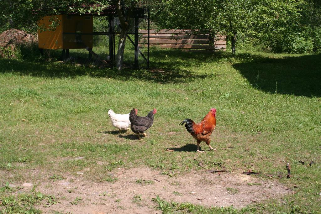 Nature Retreat "Upes Dizvietas" Krāslava Eksteriør bilde